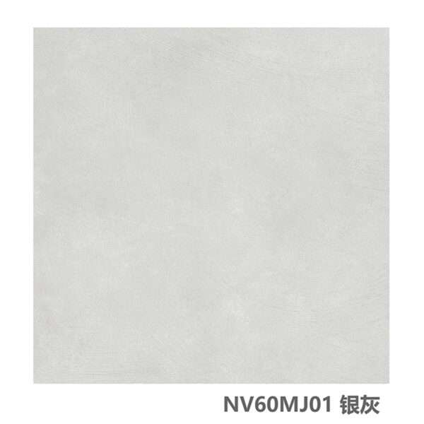 NV60MJ00 - Image 3