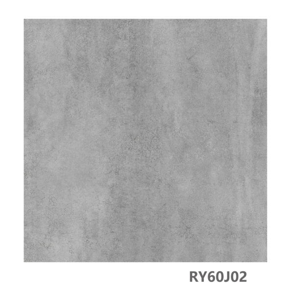 RY60J01 - Image 3