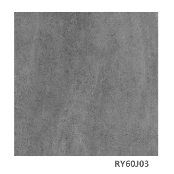 RY60J01 - Image 4